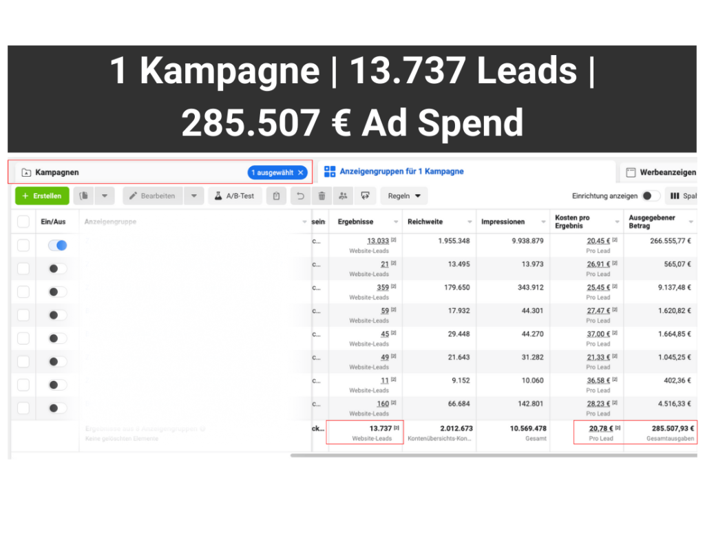 Kampagnenskalierung_Leads_Screenshot_Groß